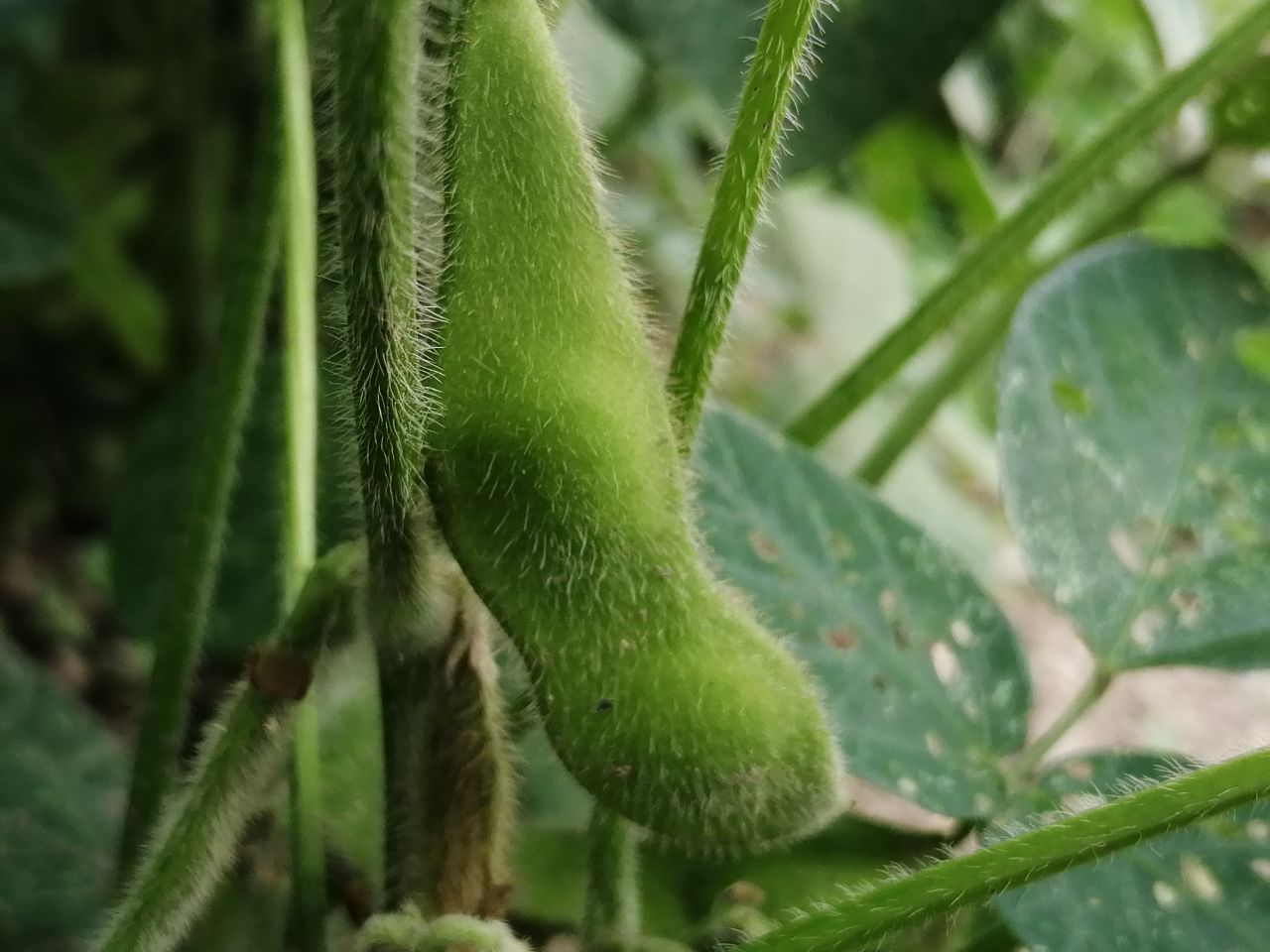 20190607_233786_1559898179831.jpg
