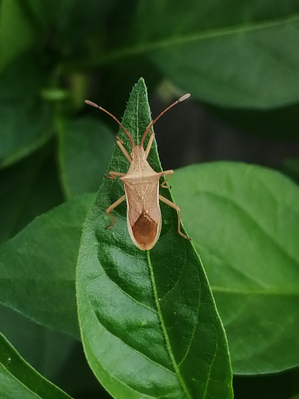 20190607_233786_1559898180045.jpg