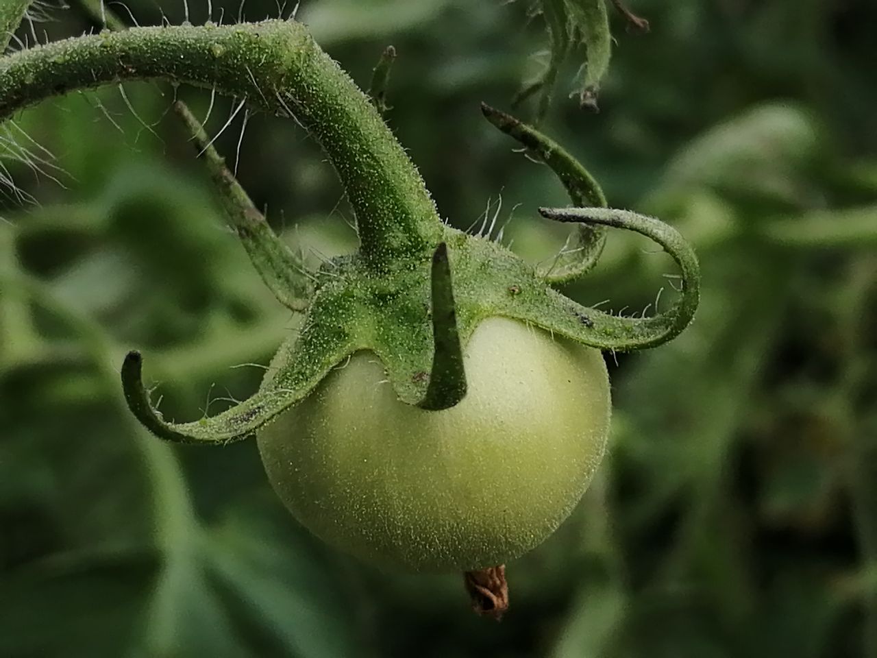 20190607_233786_1559898180669.jpg