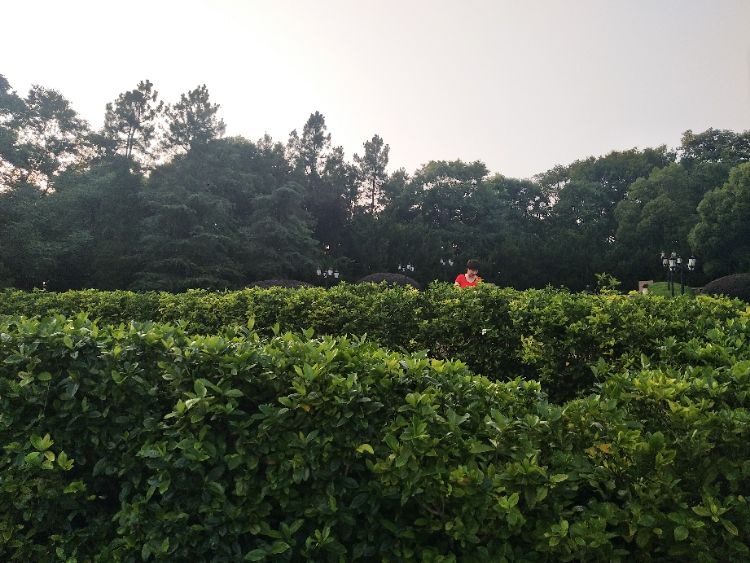 20190610_284659_1560163122342.jpg