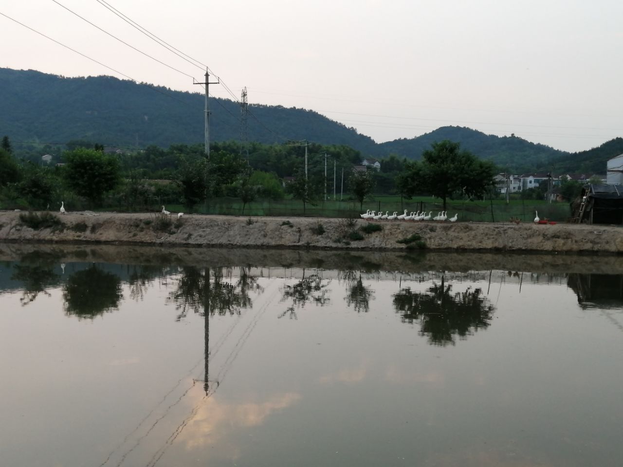 20190610_261455_1560167492327.jpg