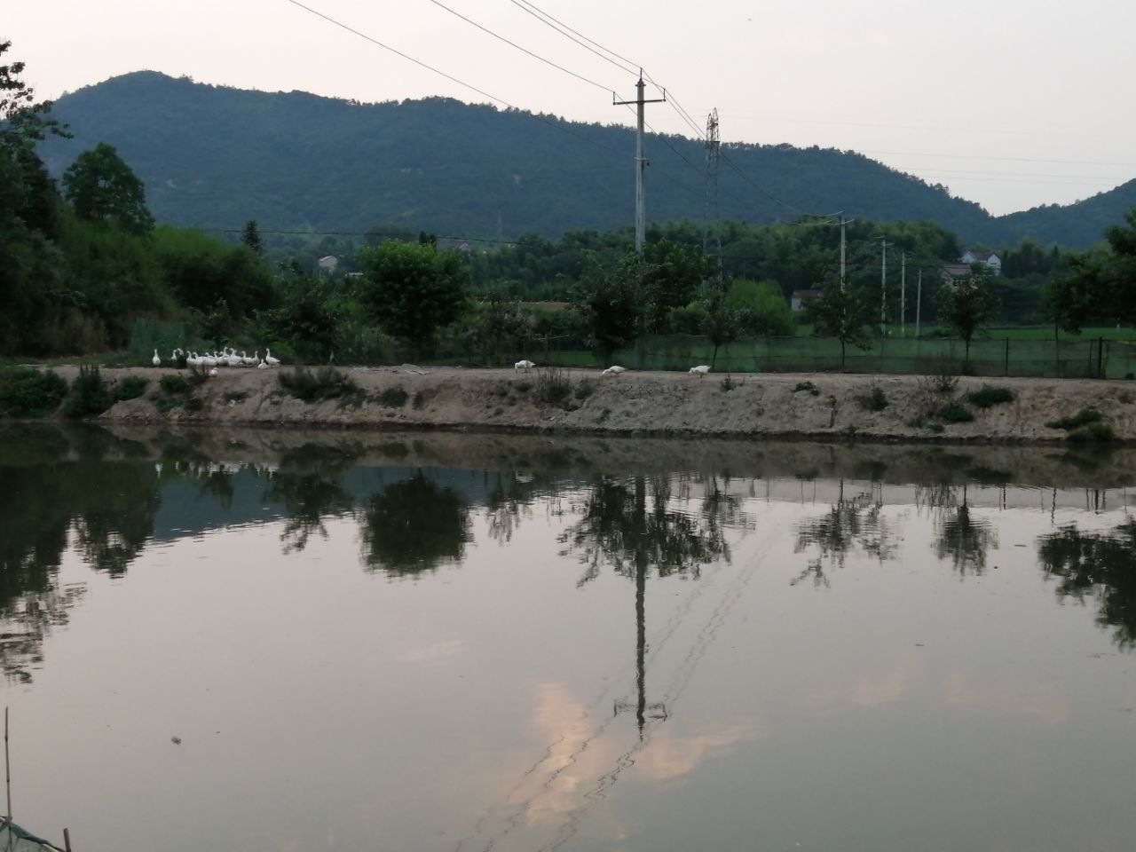 20190610_261455_1560167492533.jpg