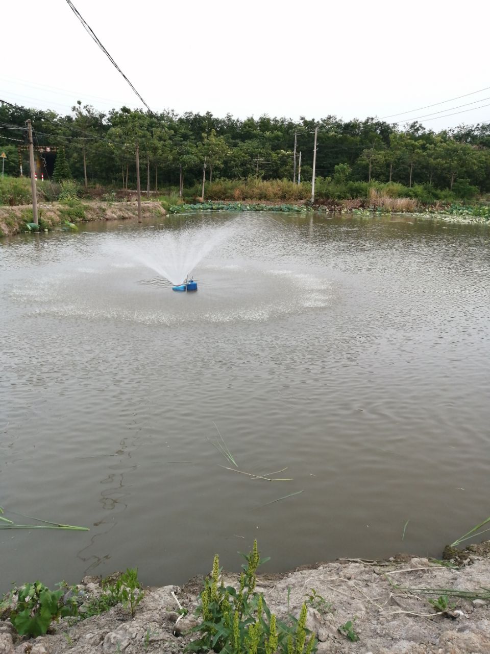 20190610_261455_1560167492984.jpg
