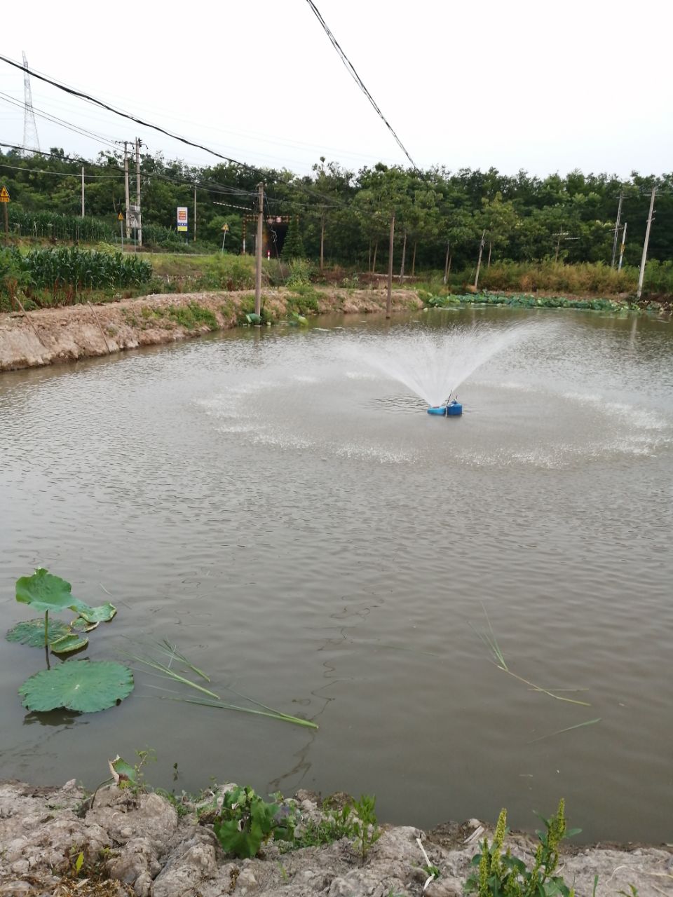 20190610_261455_1560167493271.jpg
