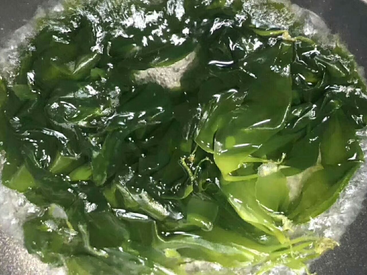 20190611_157434_1560245759024.jpg