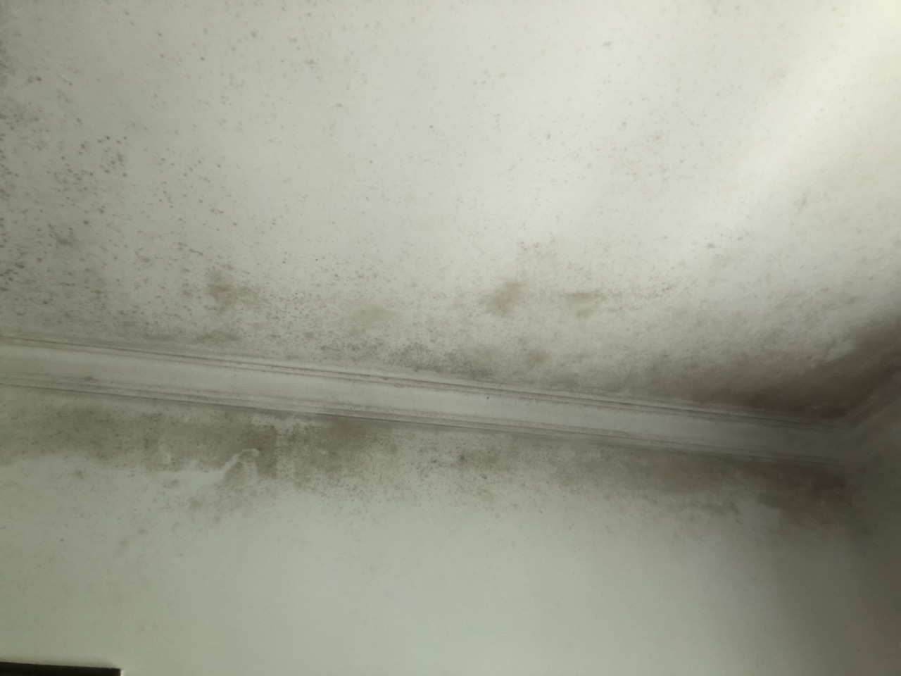 201906122673481560320398658064.jpg