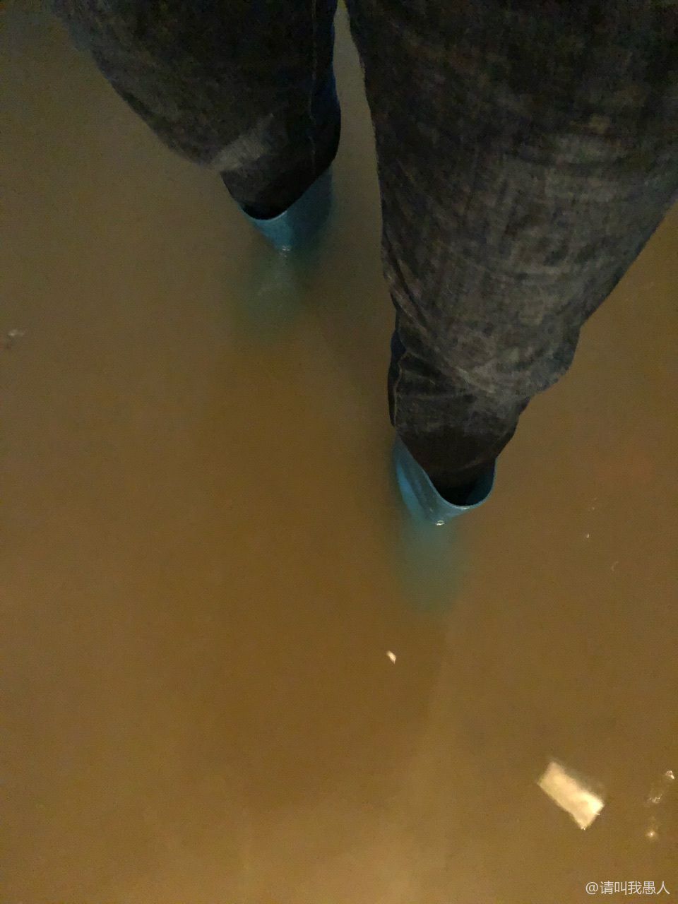 20190614_279690_1560480596416.jpg