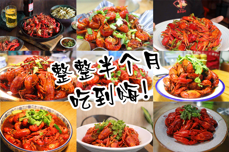 动图.gif