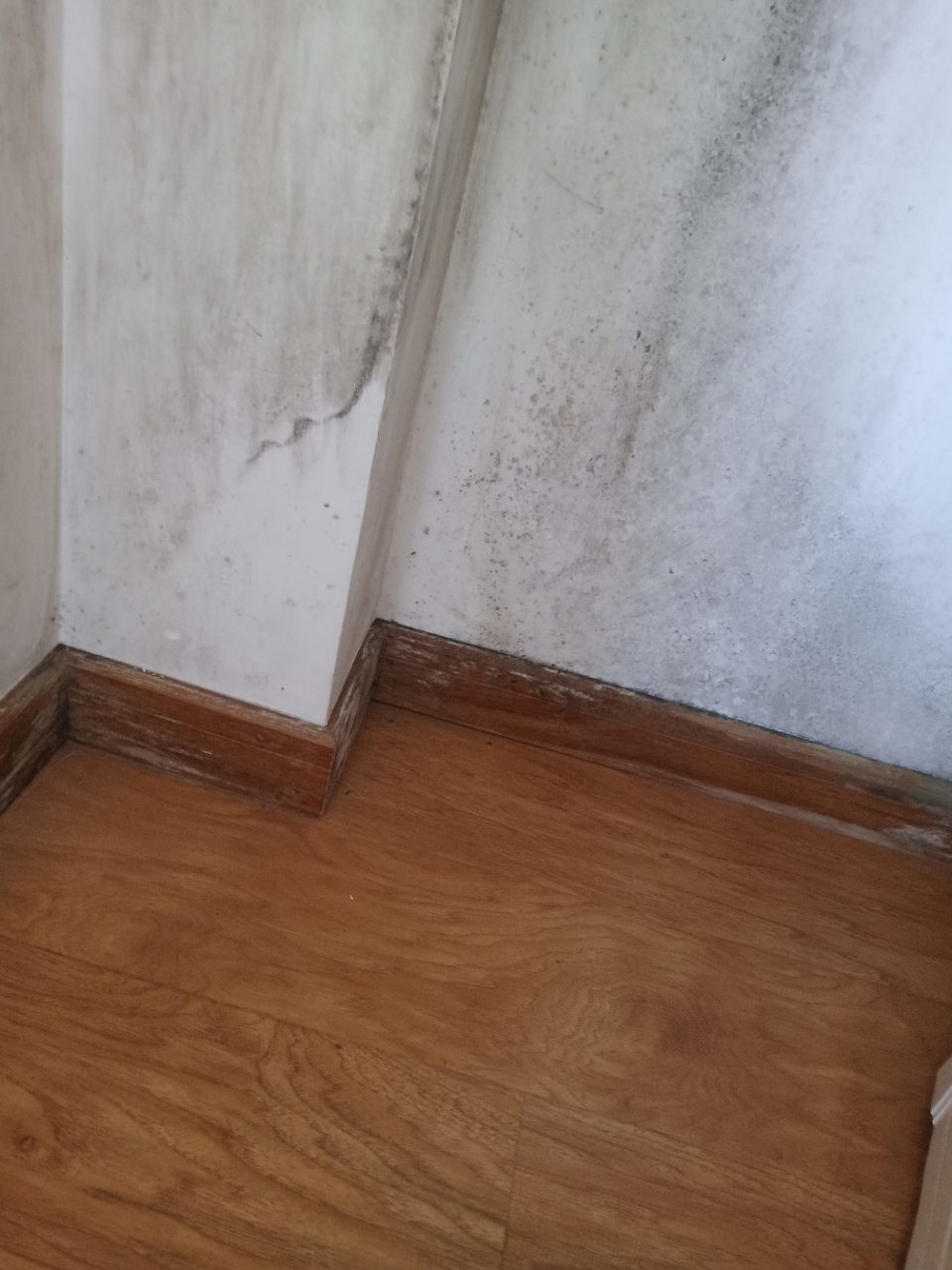 20190614_267320_1560505781146.jpg