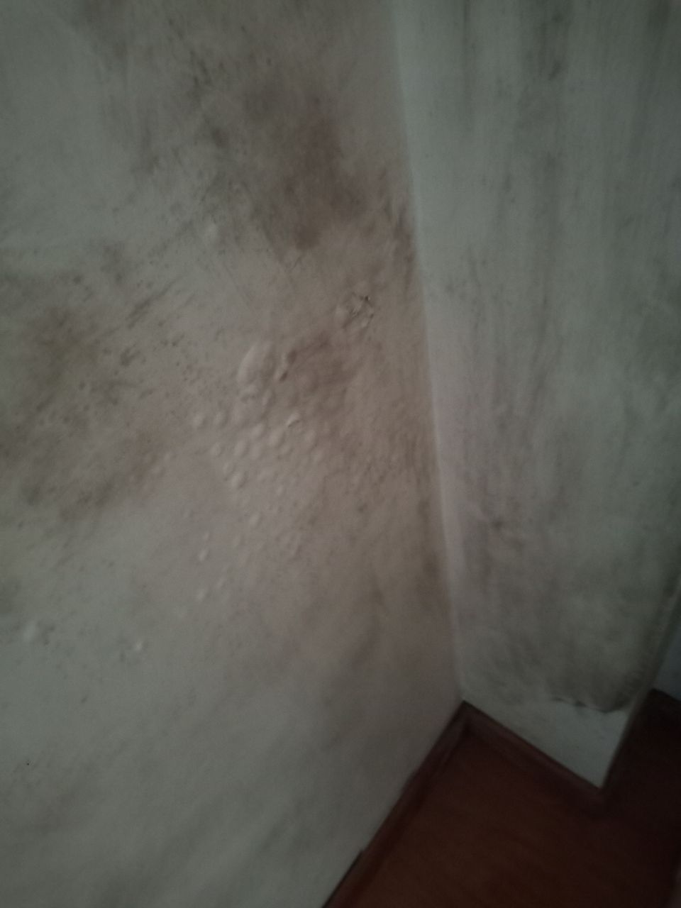 20190614_267320_1560505781601.jpg