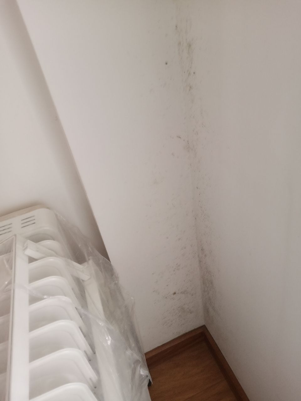 20190614_267320_1560505782053.jpg