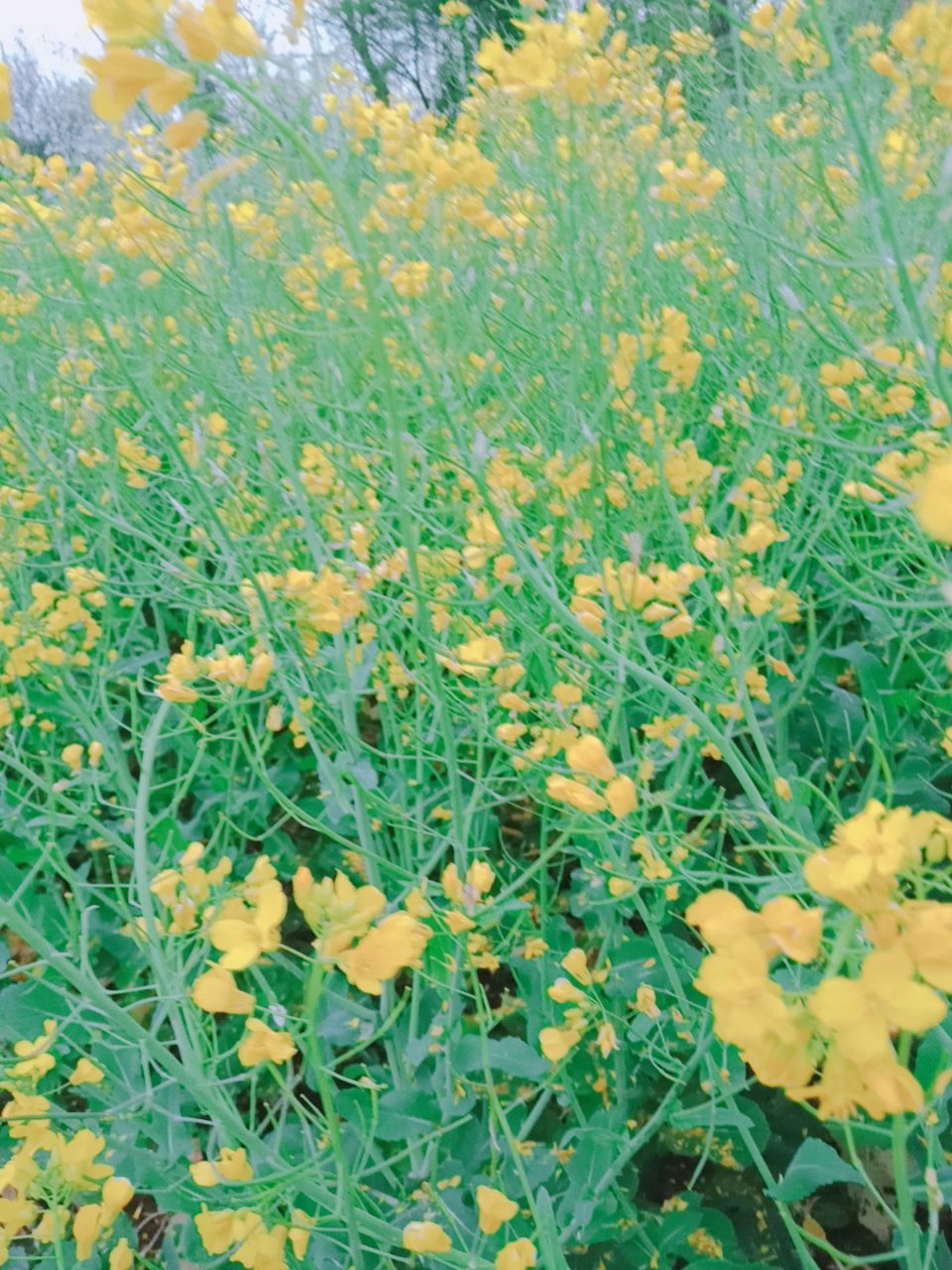 20190615_304312_1560568182072.jpg