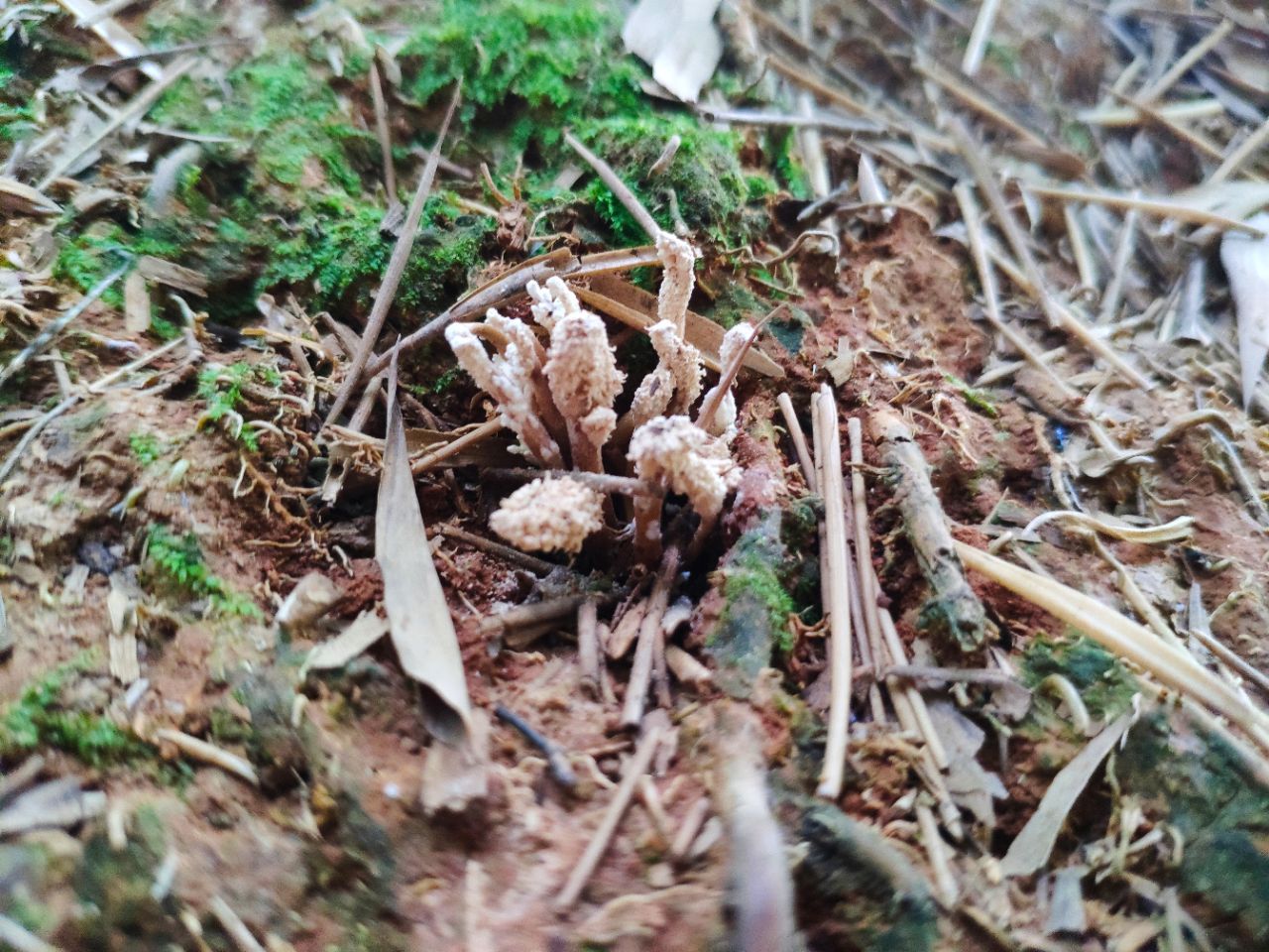 20190615_235798_1560592321889.jpg