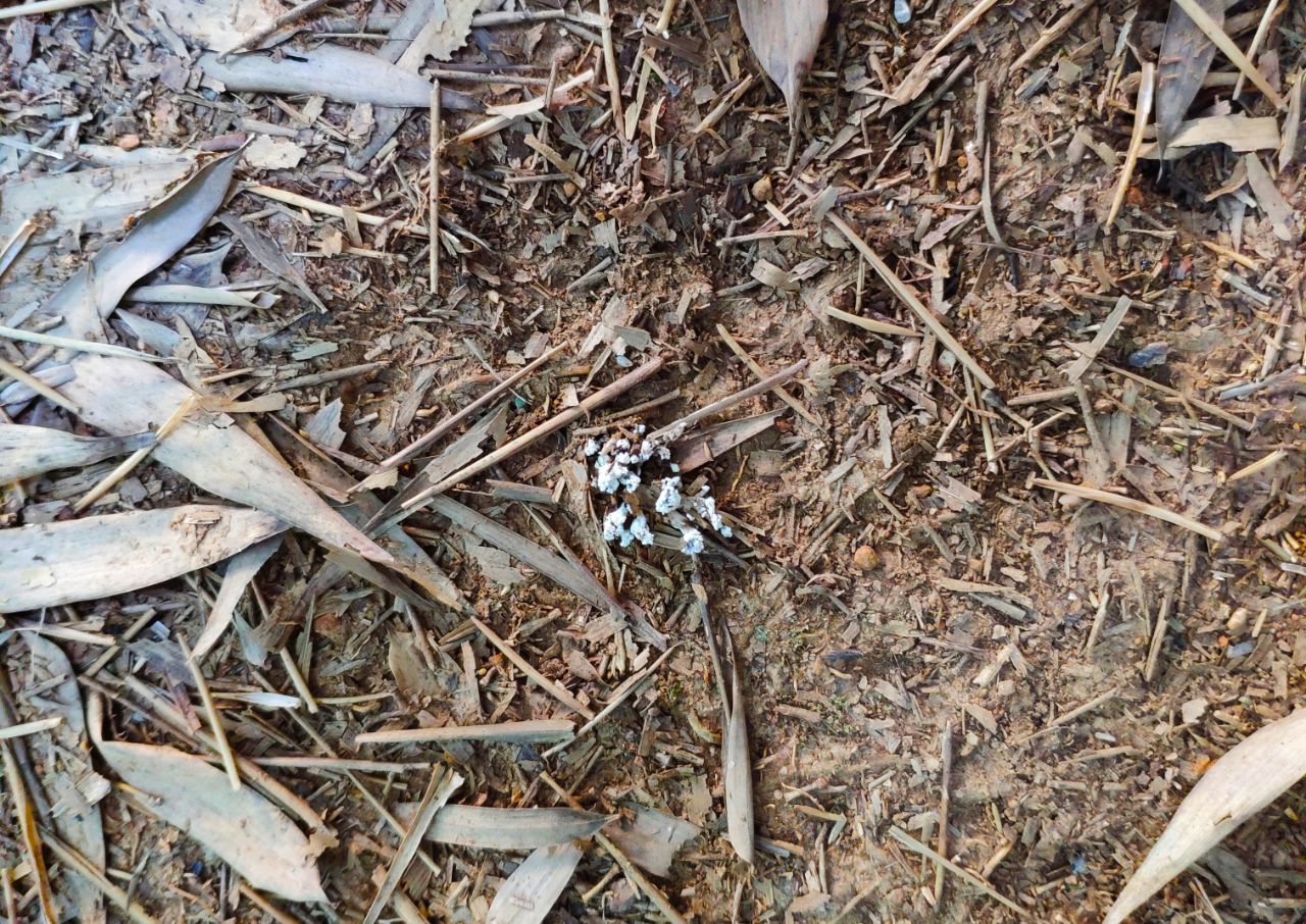 20190615_235798_1560592322426.jpg