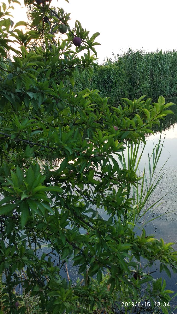 20190616_300088_1560639547060.jpg