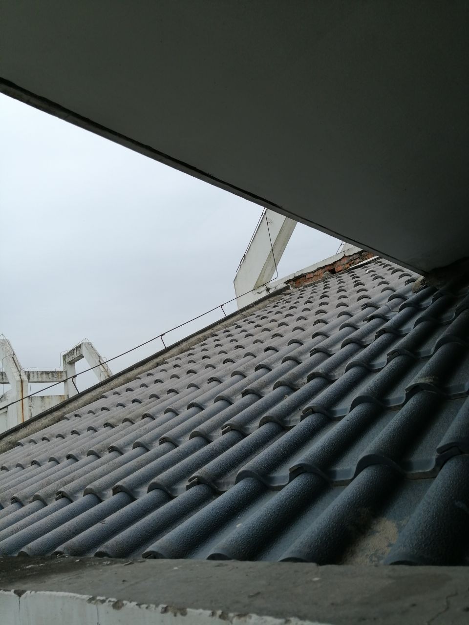 20190616_314970_1560670503927.jpg