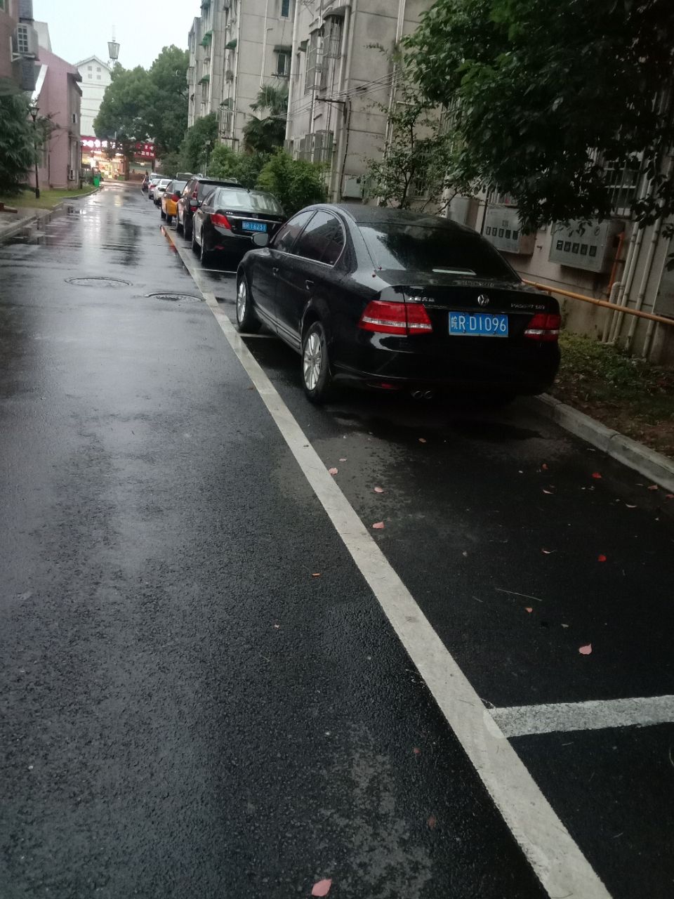 20190617_286630_1560770295036.jpg