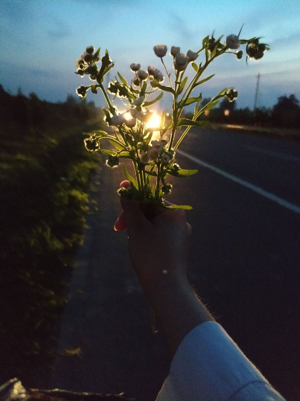 20190619_262671_1560945395418.jpg