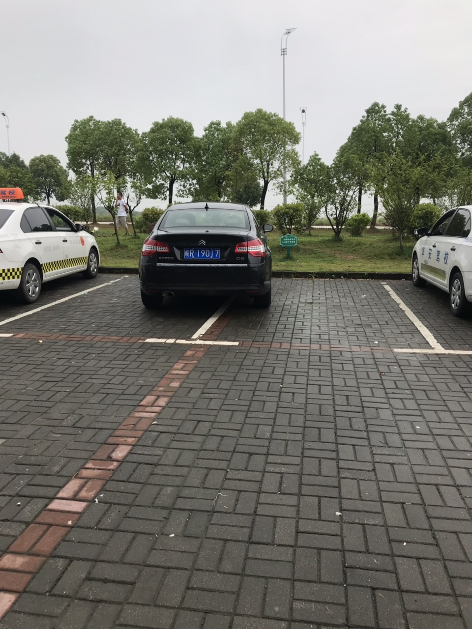 201906203031861560989325809369.jpg