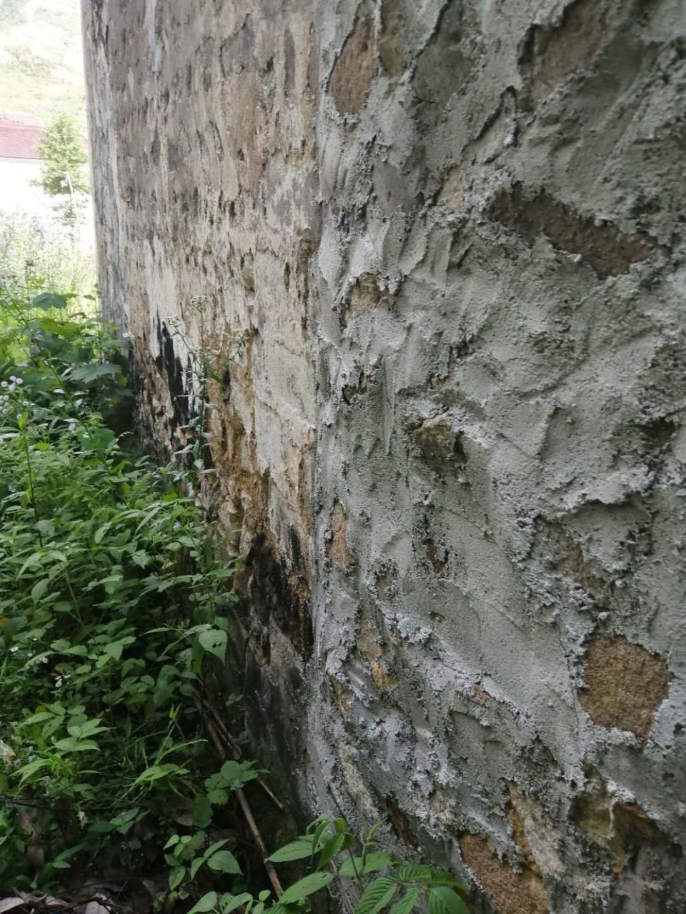 20190620_322400_1561043043386.jpg