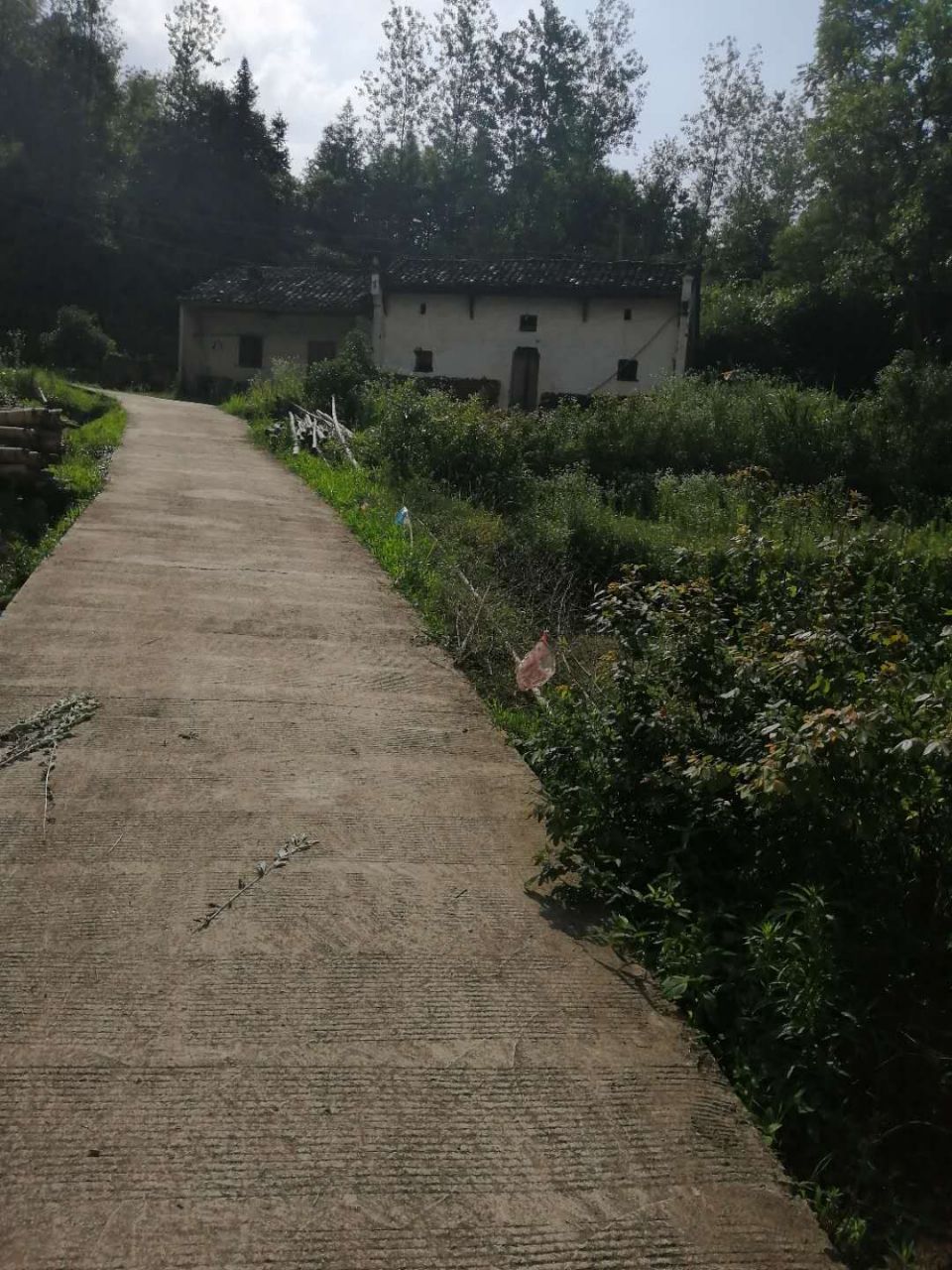 20190621_322400_1561111883734.jpg