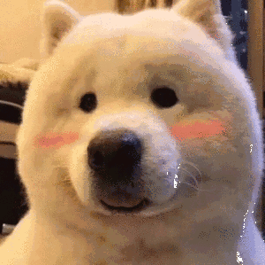 201906223210931561196805862006.gif