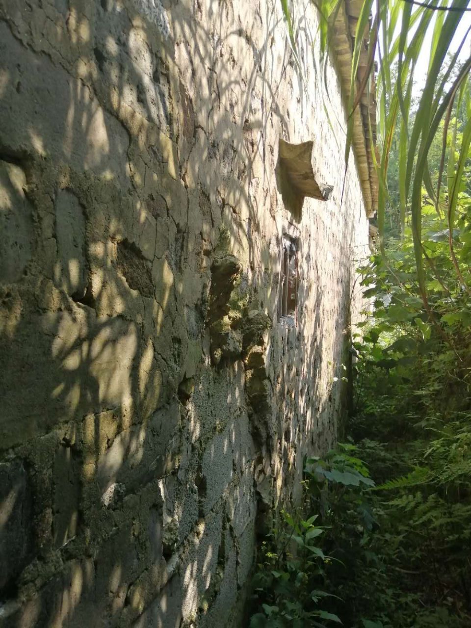 20190624_322400_1561376039207.jpg