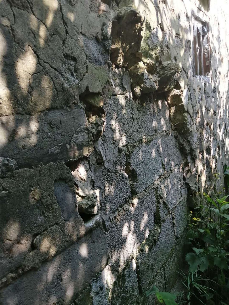 20190624_322400_1561376039303.jpg