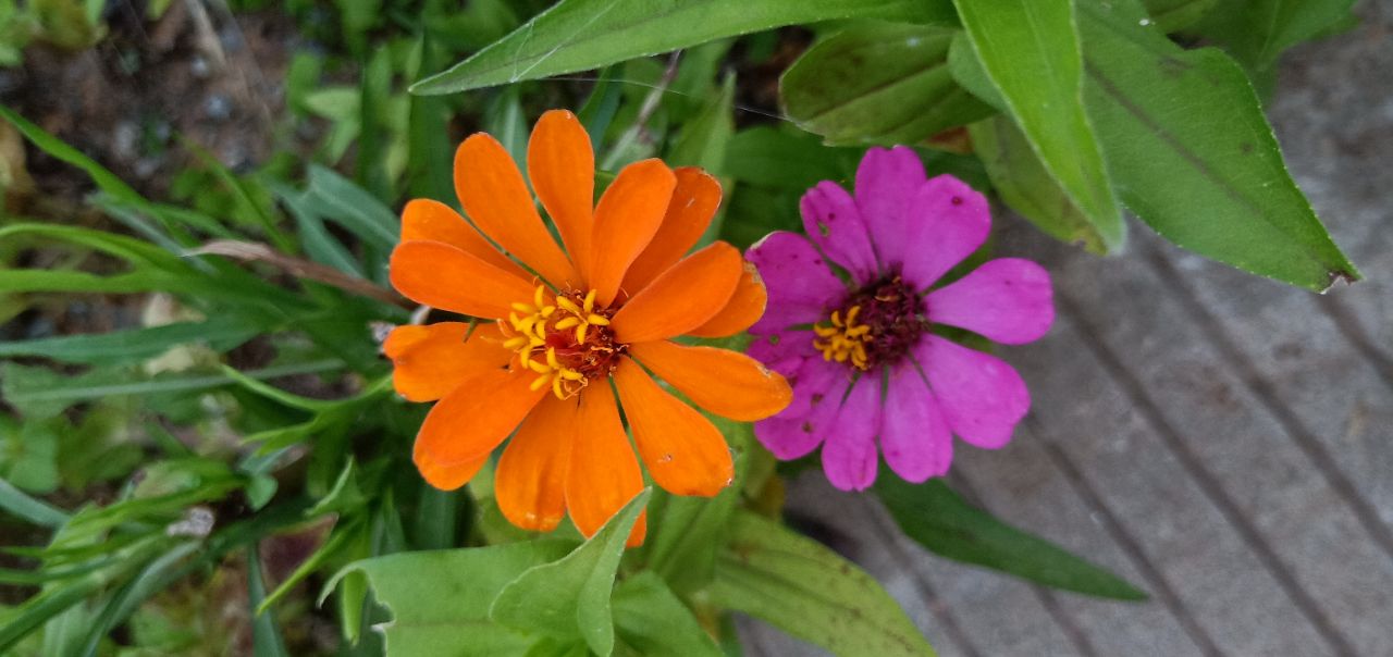 20190627_307009_1561639985534.jpg