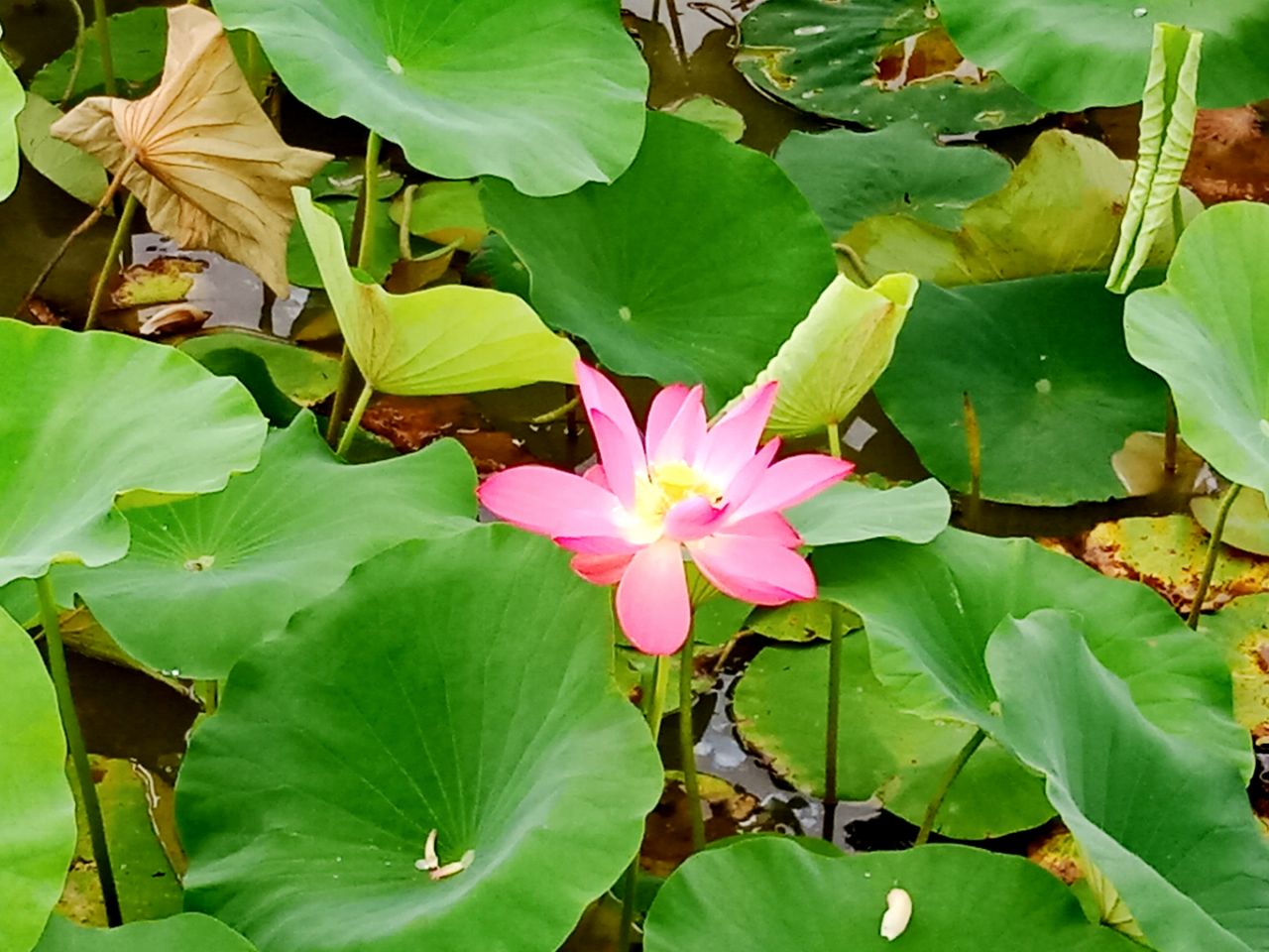 20190701_26941_1561960715093.jpg