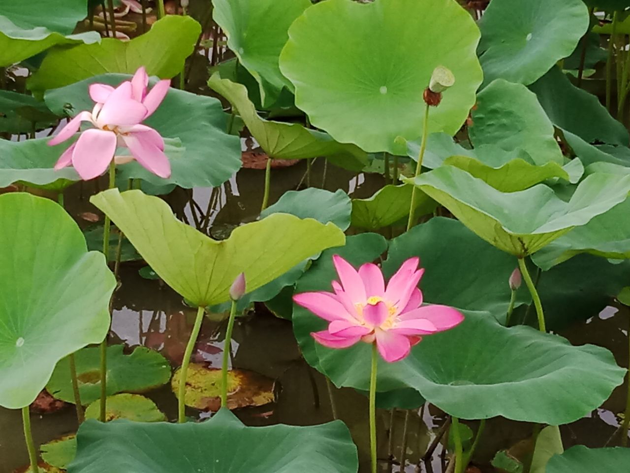 20190701_26941_1561960717496.jpg
