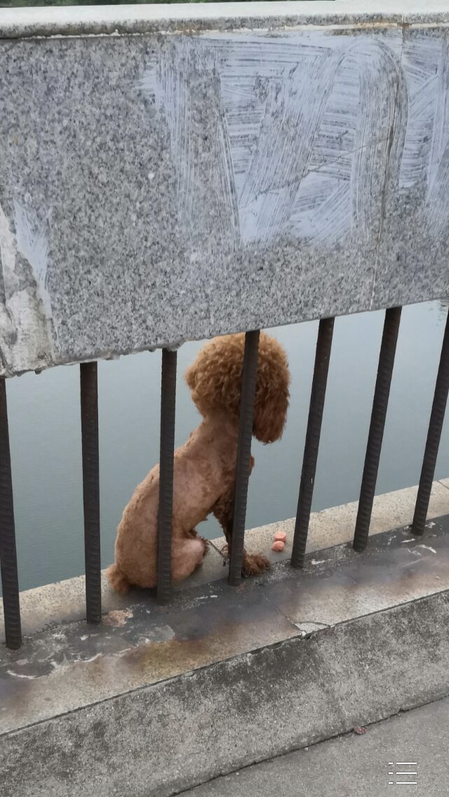 20190701_323268_1561979845619.png