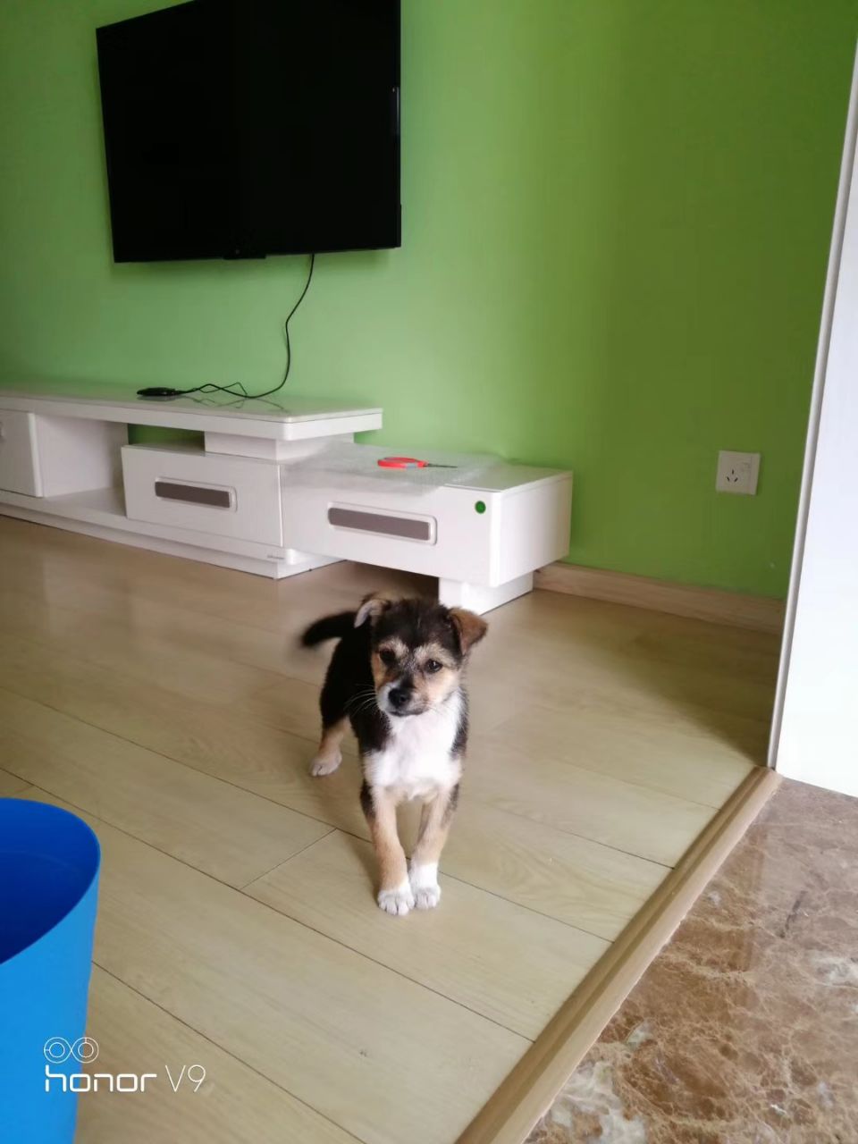 20190702_261232_1561998320231.jpg