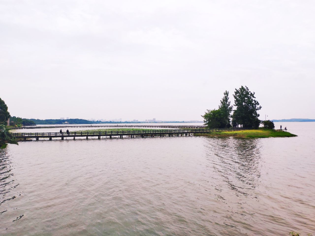 20190704_235798_1562243089705.jpg