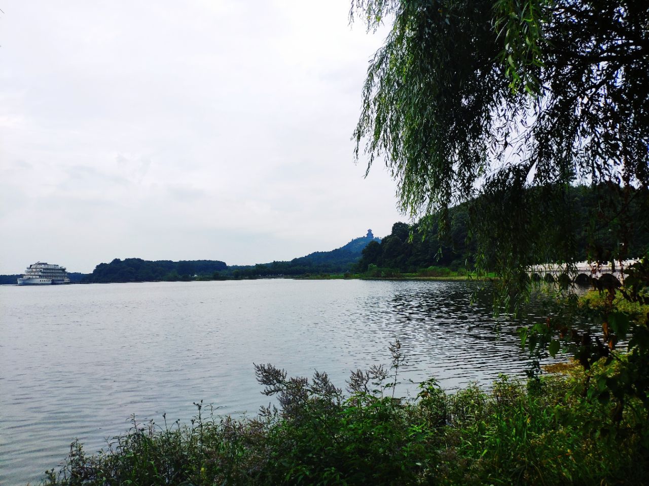 20190704_235798_1562243090146.jpg