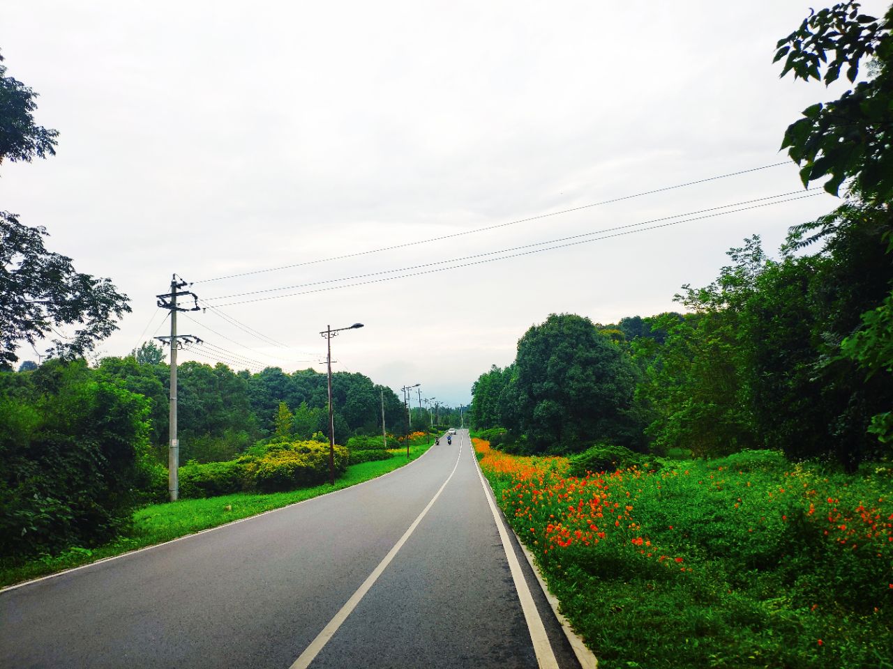 20190704_235798_1562243090733.jpg