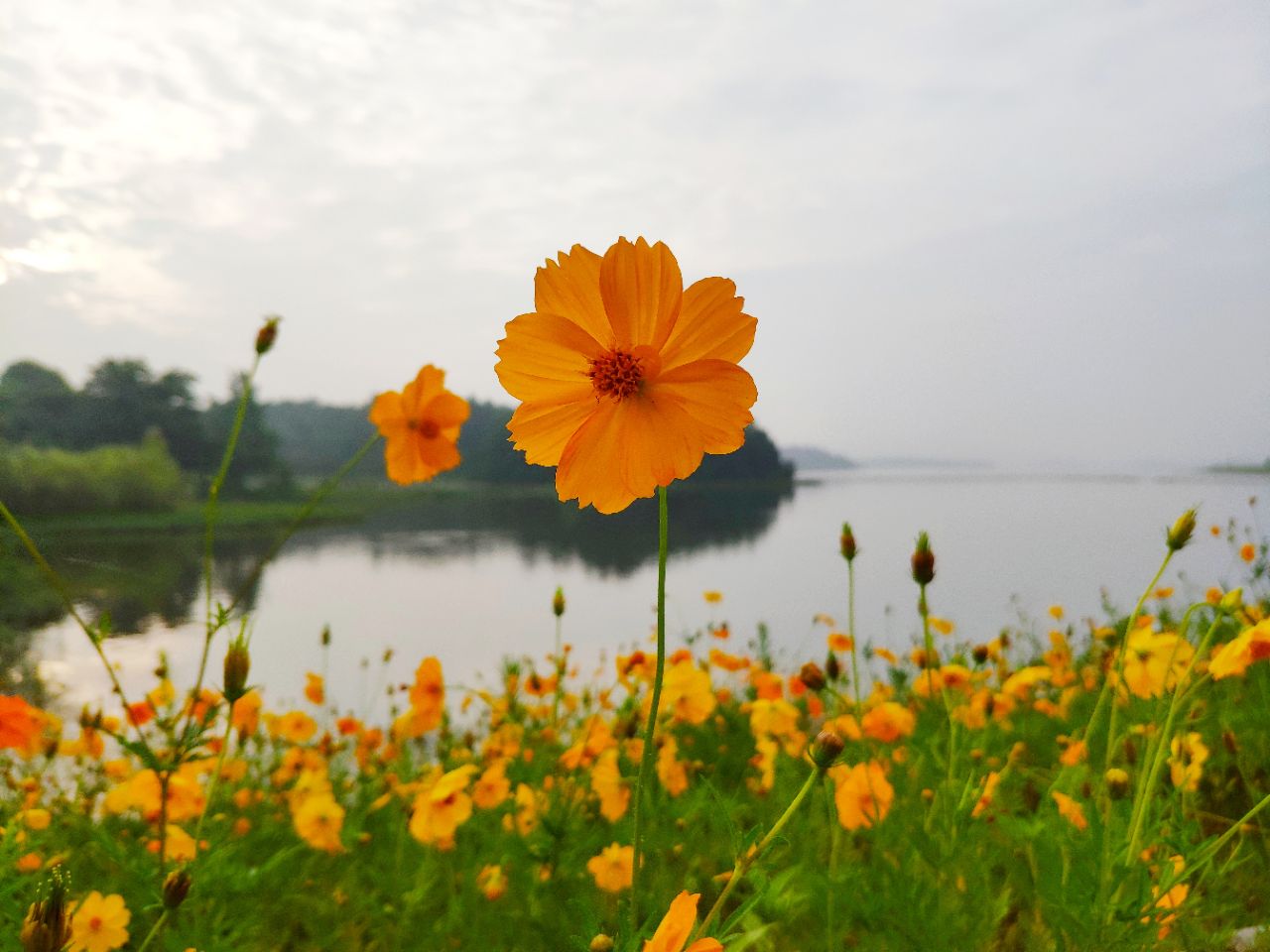 20190704_235798_1562243537853.jpg