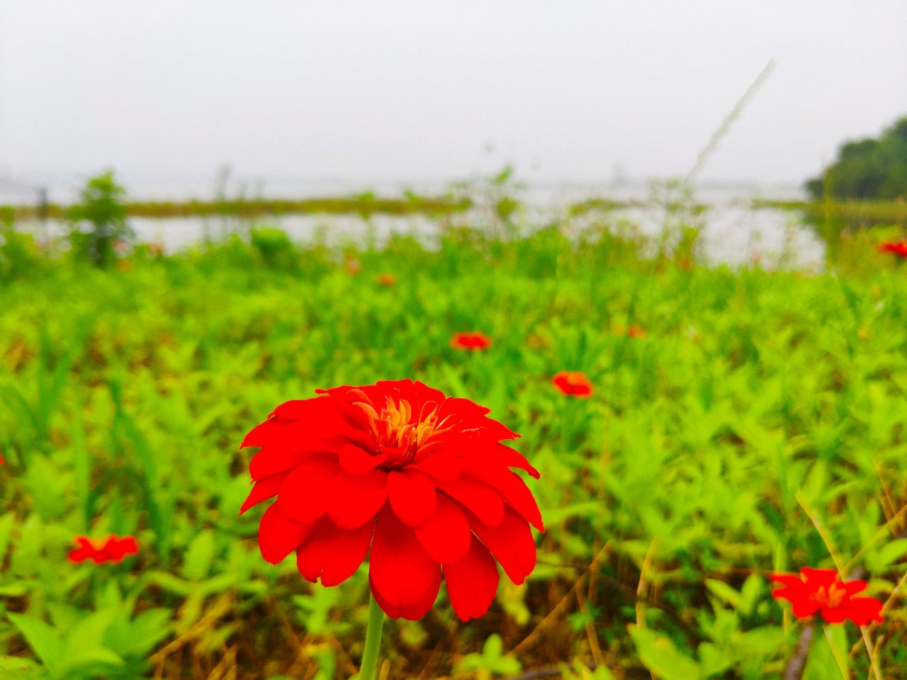 20190704_235798_1562243539379.jpg