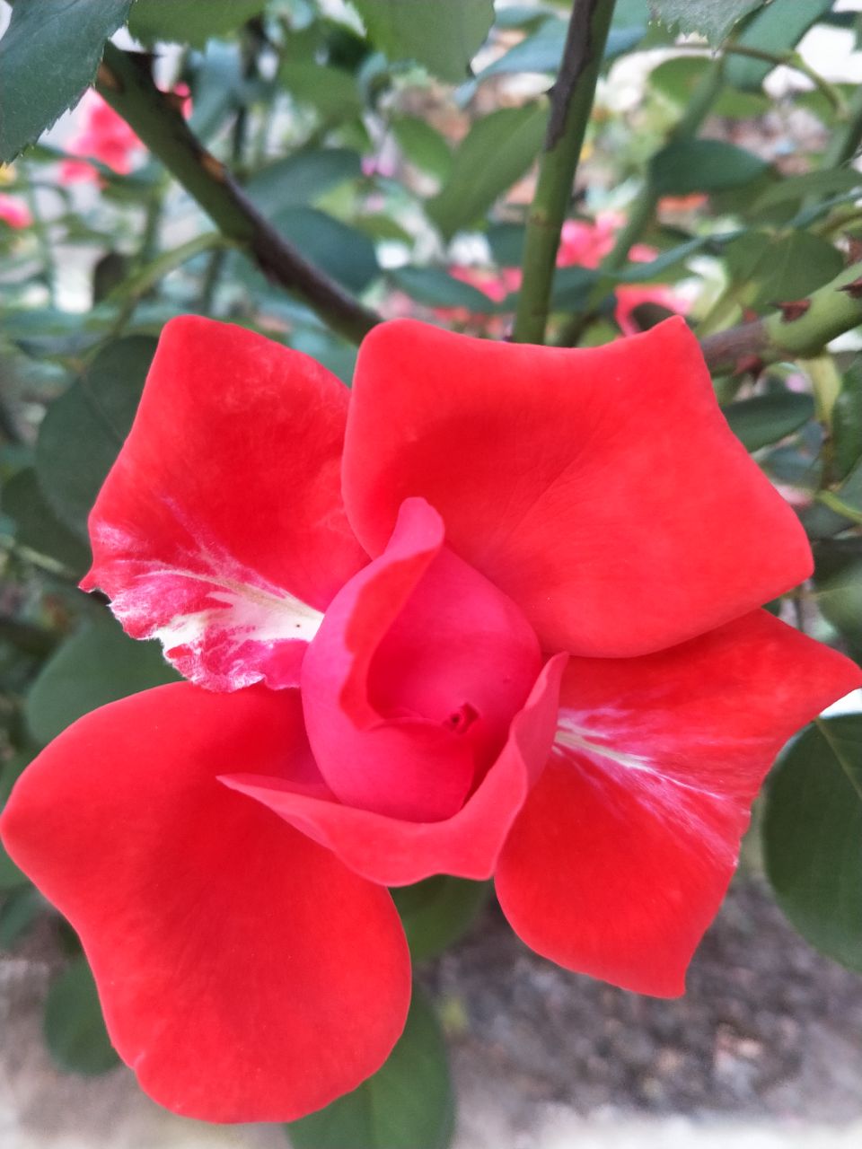 20190705_258991_1562331727799.jpg