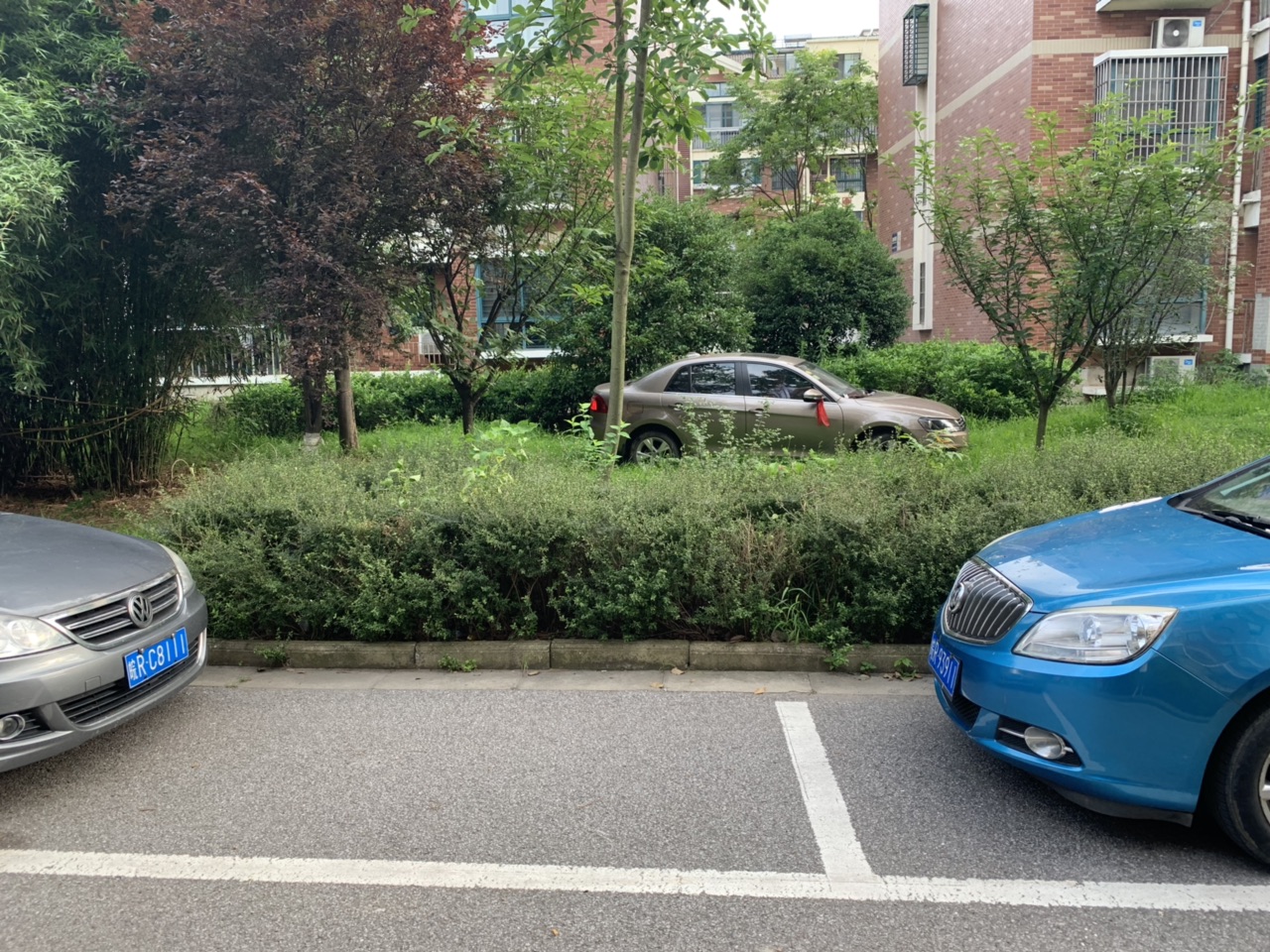 20190706789501562368707691394.jpg