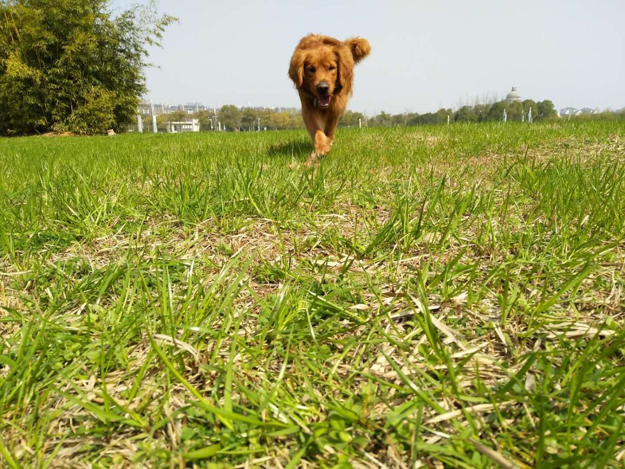 20190706_39989_1562382038932.jpg