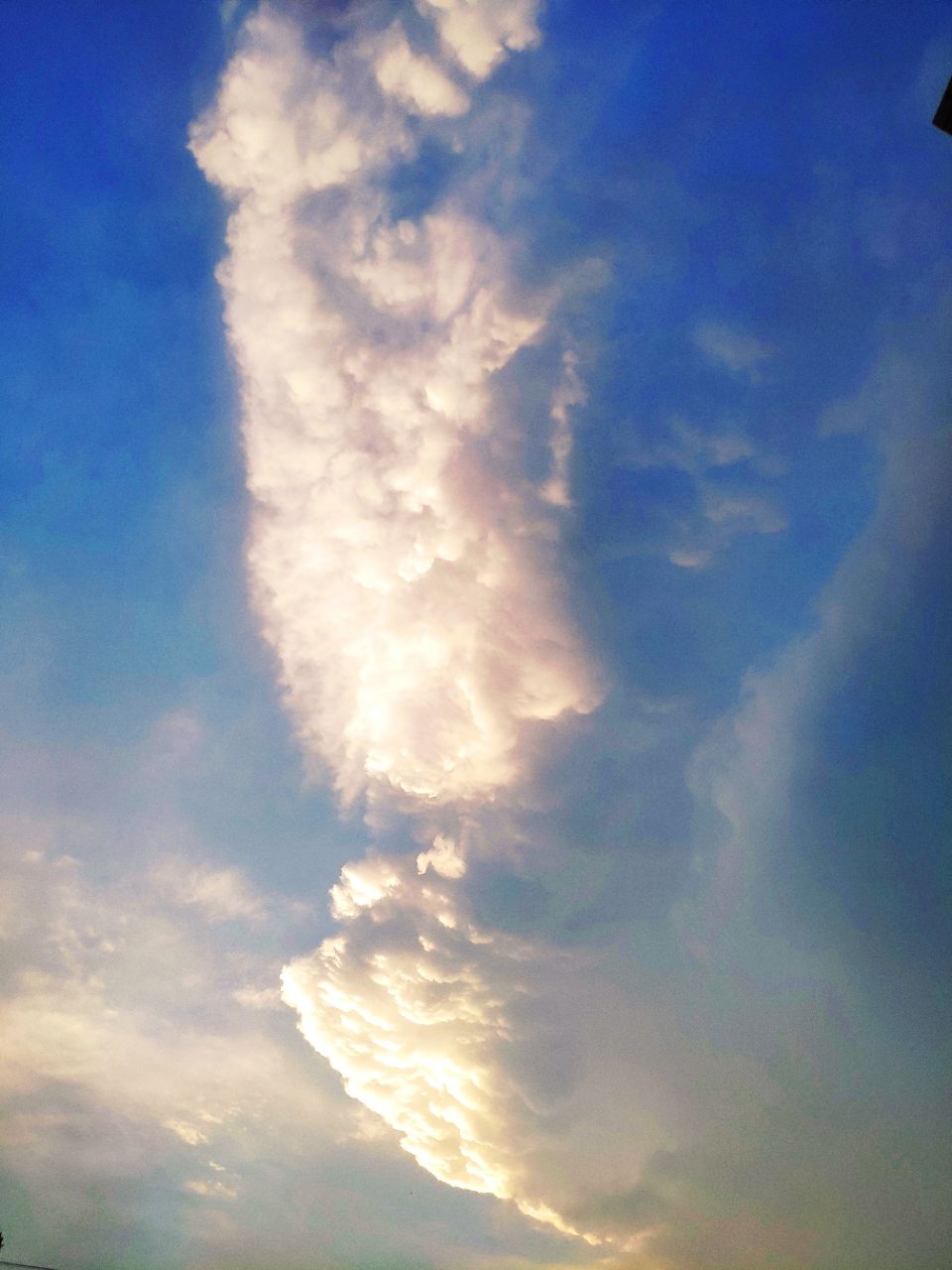20190706_235798_1562415163966.jpg