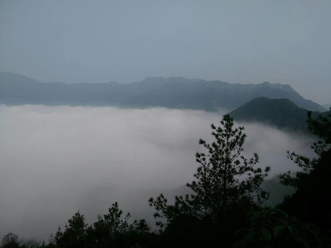 20190707_323044_1562442347806.jpg