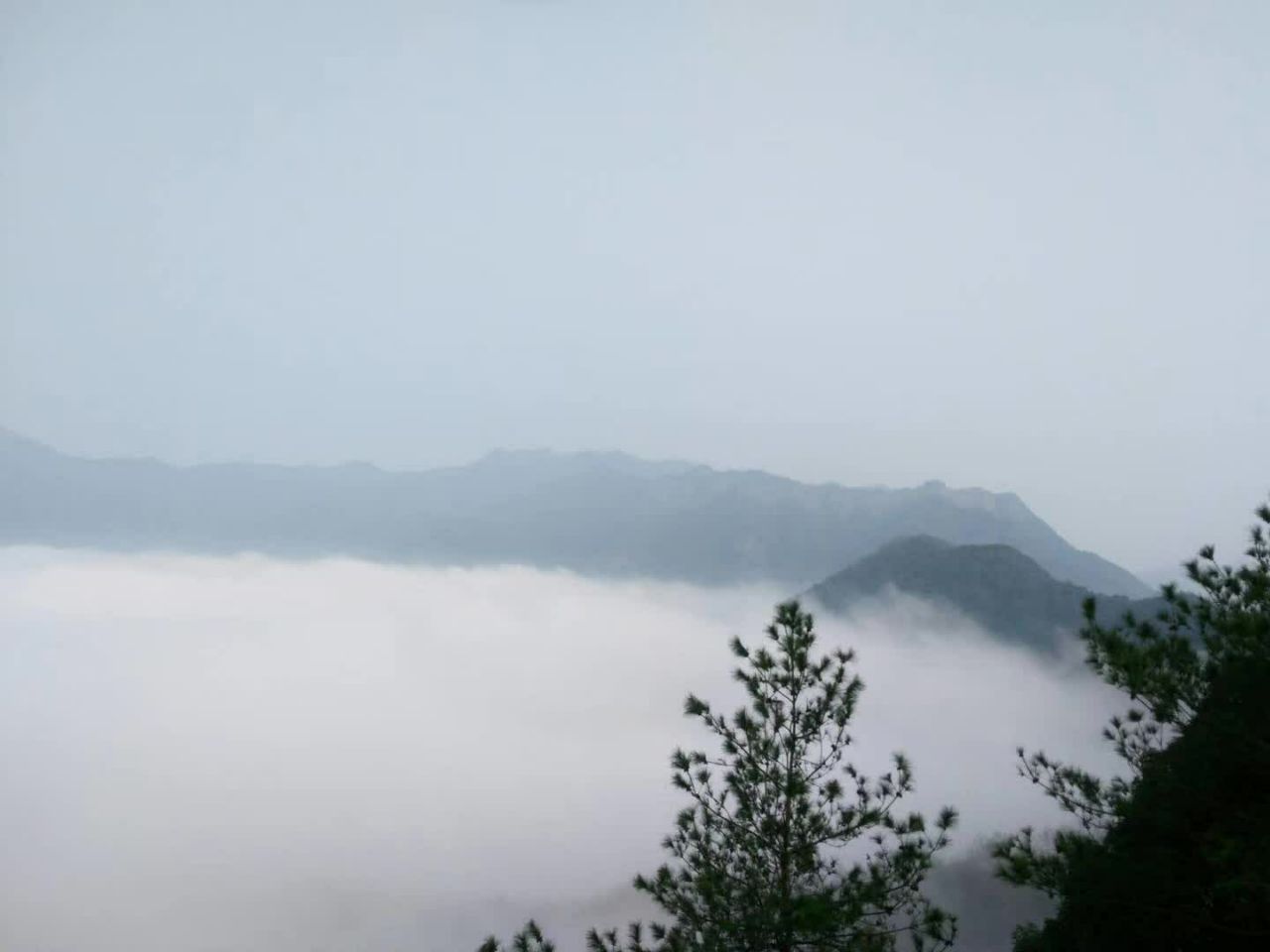 20190707_323044_1562442347885.jpg