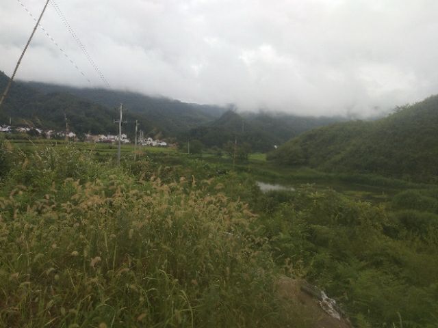 20190707_323044_1562442349789.jpg