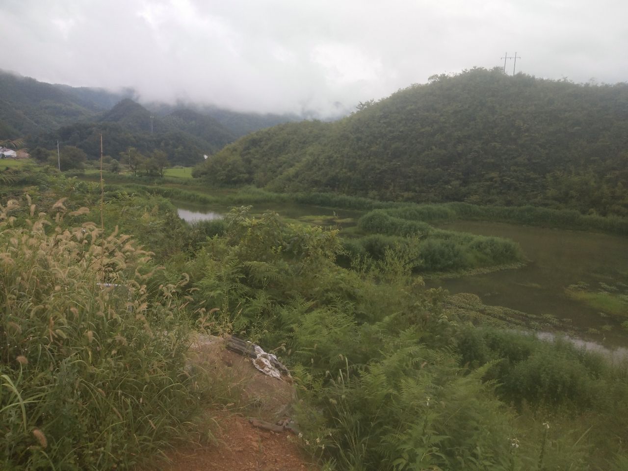 20190707_323044_1562442349437.jpg
