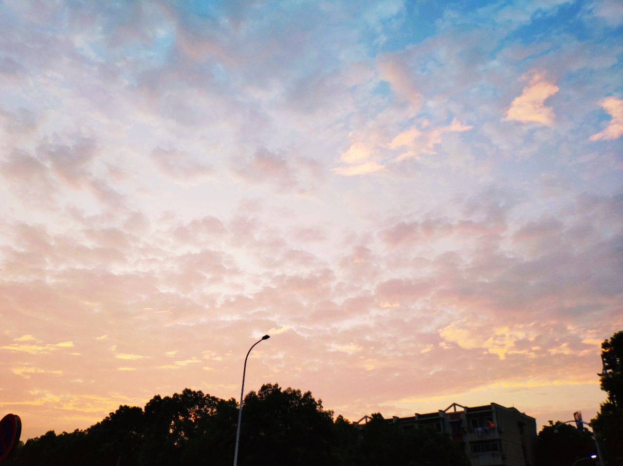 20190707_235798_1562497637484.jpg