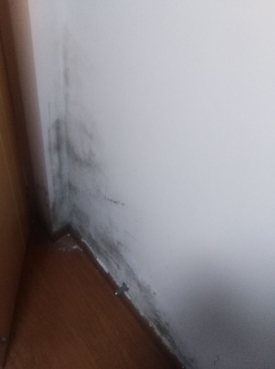 20190707_286342_1562501214827.jpg