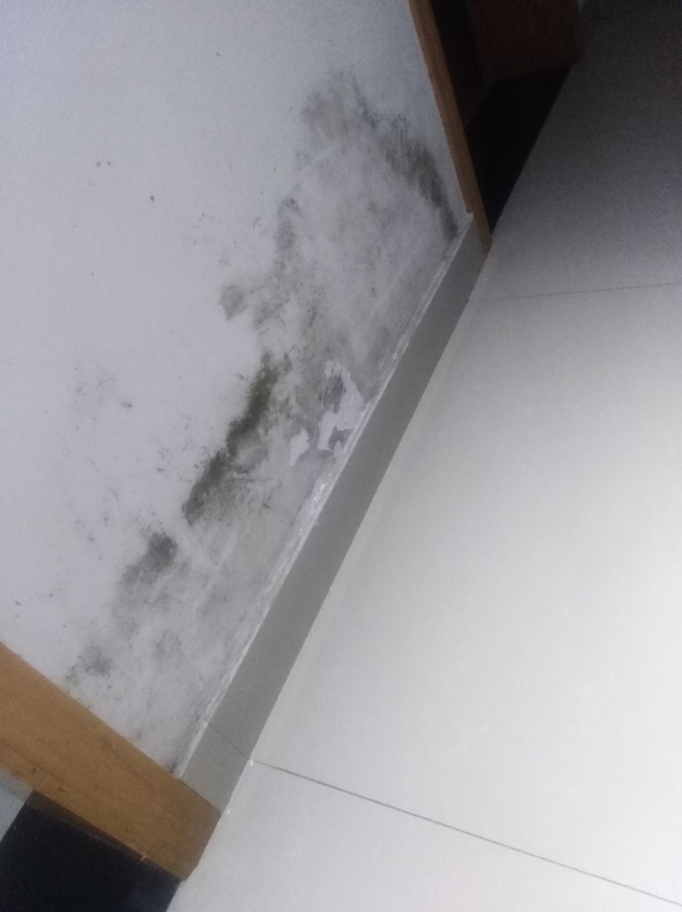 20190707_286342_1562501215454.jpg