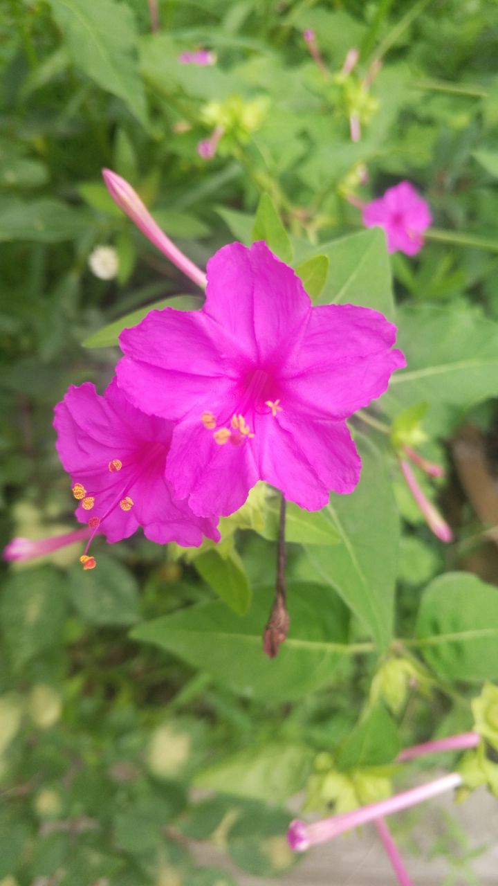 20190708_269798_1562568006402.jpg